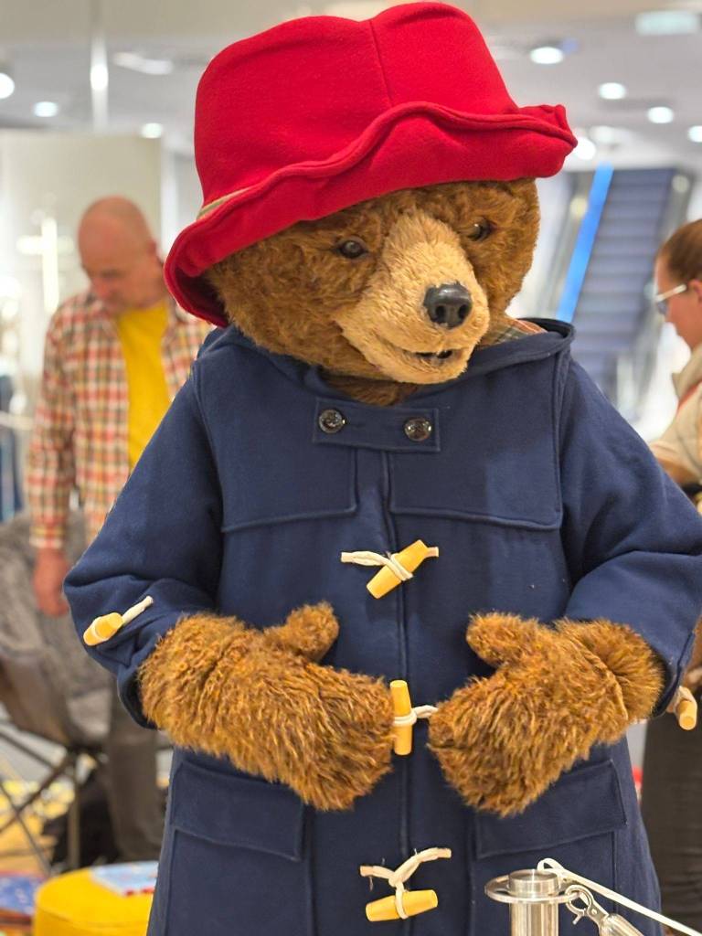 Paddington Bär als Walk-Act mit blauem Mantel und rotem Hut